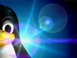 Ein Pinguin namens Tux. Er ist das Symbol für Linuxbetriebssysteme.